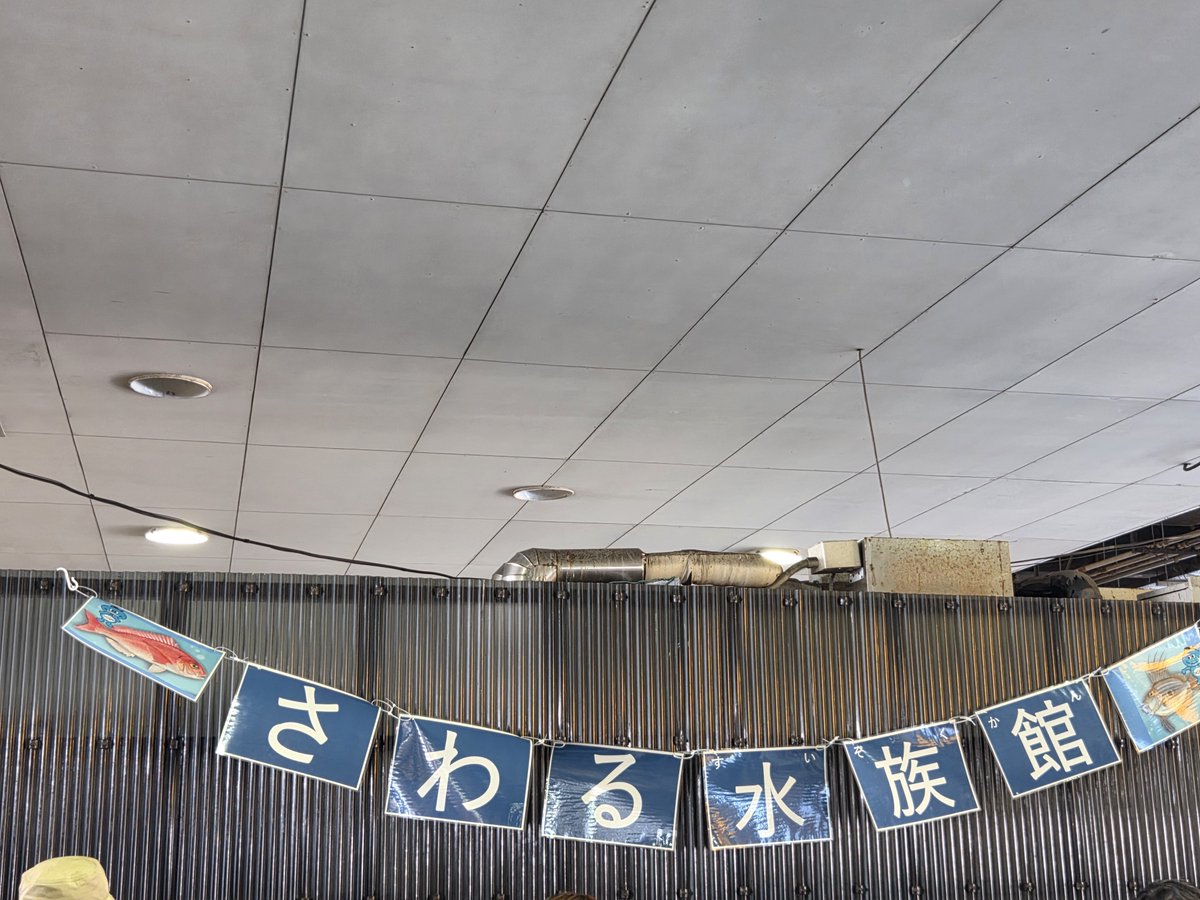tonippa62's tweet photo. 今日行った水族館？

小田原みなとまつり
採れたての新鮮な魚が泳いでました https://t.co/ummXGntp7B