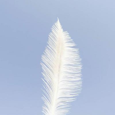 Jafar_Al33's tweet photo. Privacy and transparency can coexist on blockchain through advanced cryptography. 💼 🍁 https://t.co/0aFRj1RmbI