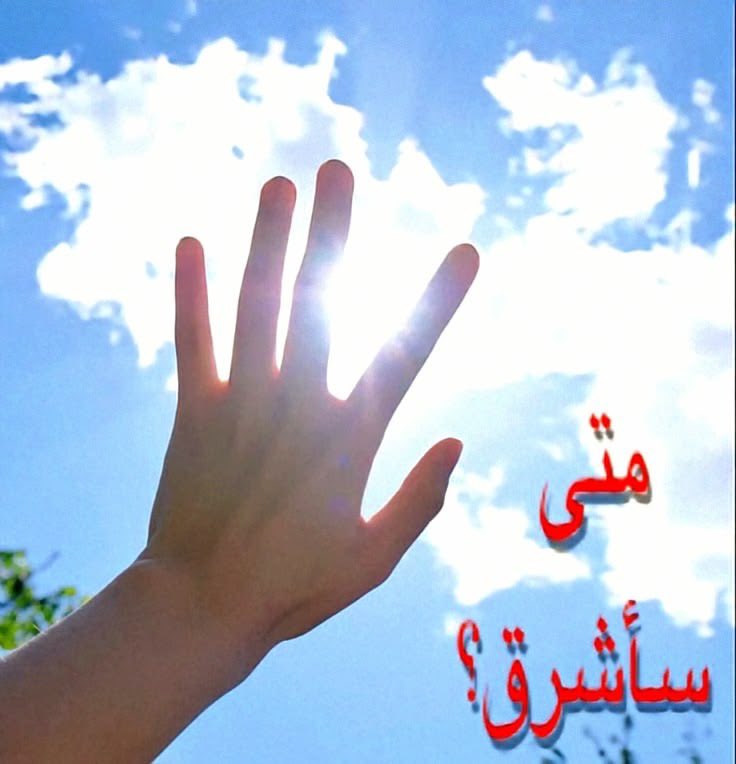 صفحةٌ جديدة tweet media