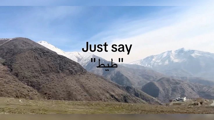 صفحةٌ جديدة tweet media