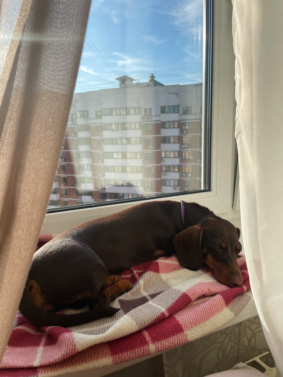 ValeriSska's tweet photo. Доброе воскресное)
Сонное) https://t.co/oYv0BS1D1H