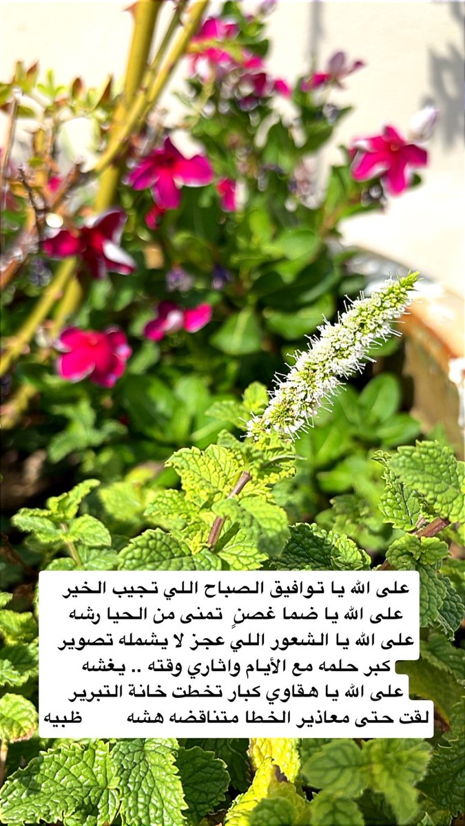 inksaratalnkhel's tweet photo. على الله يا هقاوي كبار تخطت خانة التبرير
لقت حتى معاذير الخطا متناقضه .. هشه

يموت شعور وينبت بالحشا صدمة من التقصير
ذبل عشب الوصل من قبل لا ننوي على حشه
تحمل ما يجيك من الزمن وإن خانك التعبير
على كل إنهزاماتك تسامى والعذر .. مشه

ظبية البنعلي https://t.co/RBgZrQLksT