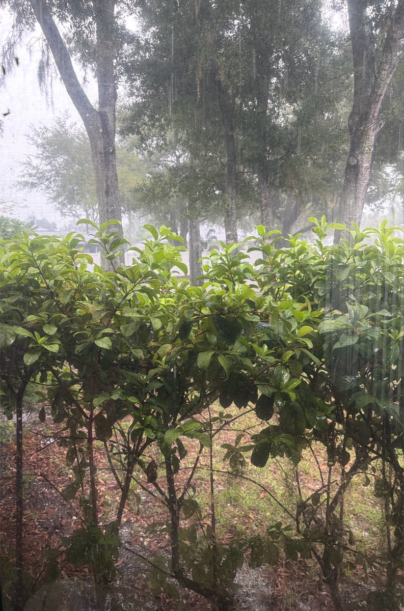 rdecay's tweet photo. favorite type of weather https://t.co/mGNRTDs3KT