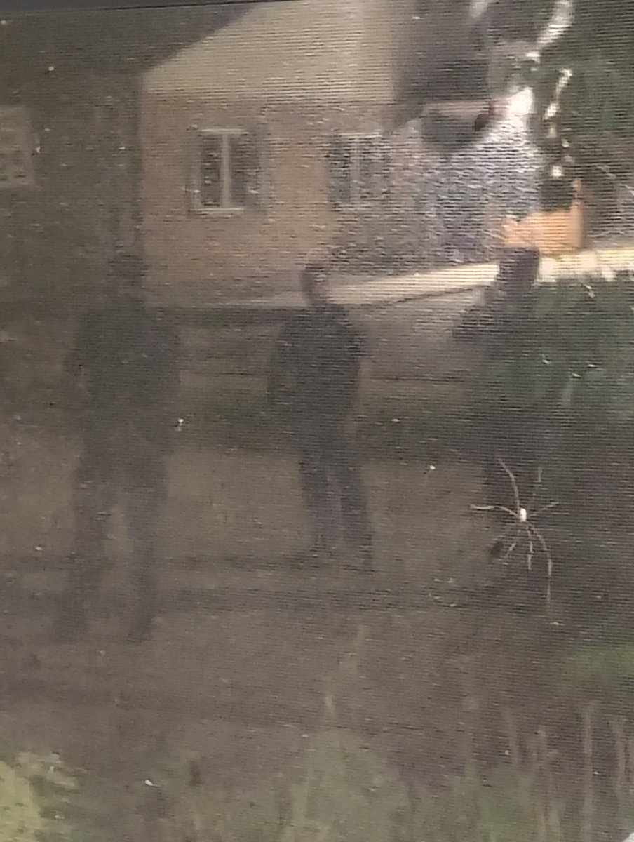 DeejHoneyDrop's tweet photo. My night has taken a very strange turn ;) #police #manhunt #stranger #drones #dogs #michigannews https://t.co/zbPcaHa7oS