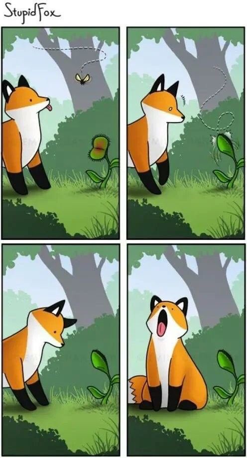 F0xXWild's tweet photo. He is learning lol https://t.co/Gcx4trU4l9