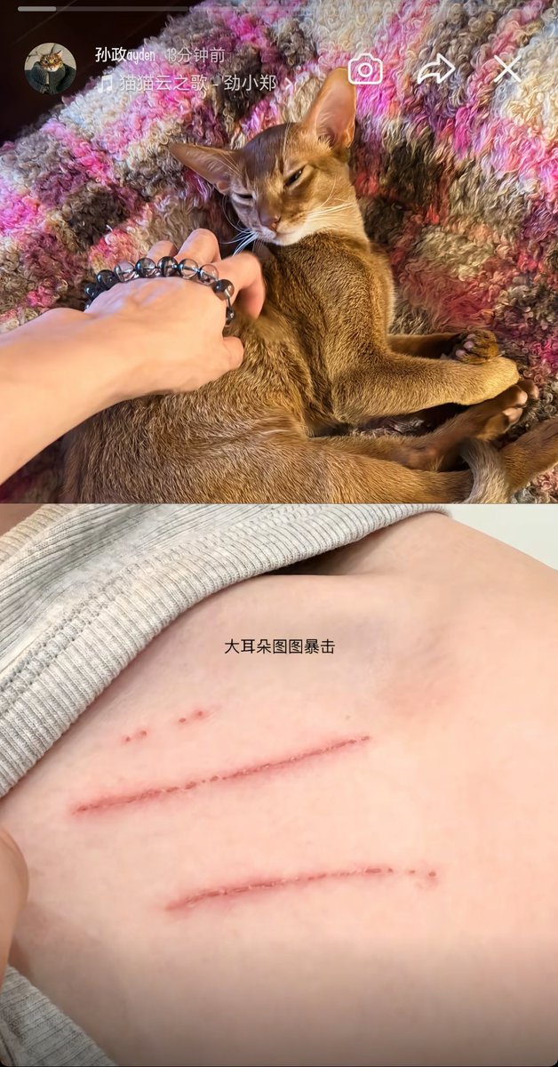 aeccesspassph's tweet photo. AYDENSNG DOUYIN
UPDATE: [260802]

"Big Ears Tutu critical strike."

Don't forget to drop
🧡 Like | Comment | Repost | Share&amp;Save

#Aylio | #政瞳 
#aydensng | #lyusitong https://t.co/Sod2J9erQR