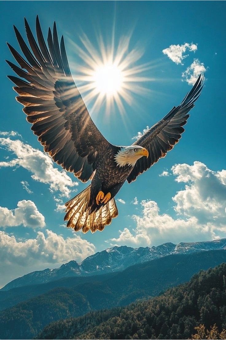 𝐀𝐧𝐨𝐨𝐩 tweet media