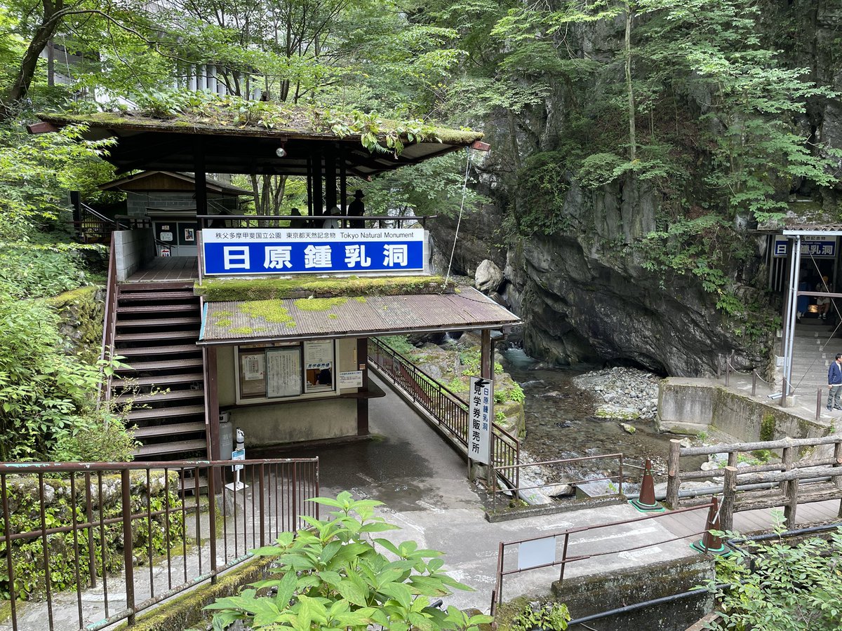 Gamishake's tweet photo. 日原鍾乳洞に行ってきました〜！⛰️
中ひんやりしてて涼しかったー！！
また行きたいなー☺️ https://t.co/3lw9ex0x8M