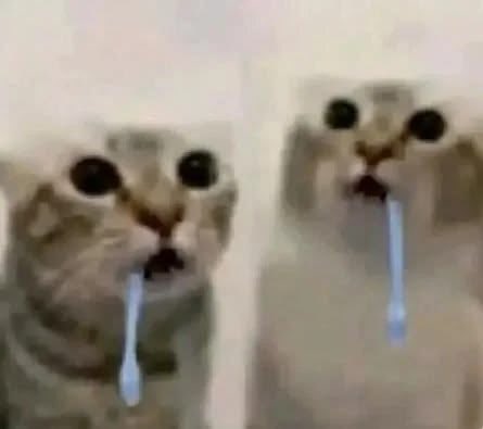 thvao_r's tweet photo. nick y yo tomando descanso del jueguito para delulear del taekook… https://t.co/jsyXpJKQ96