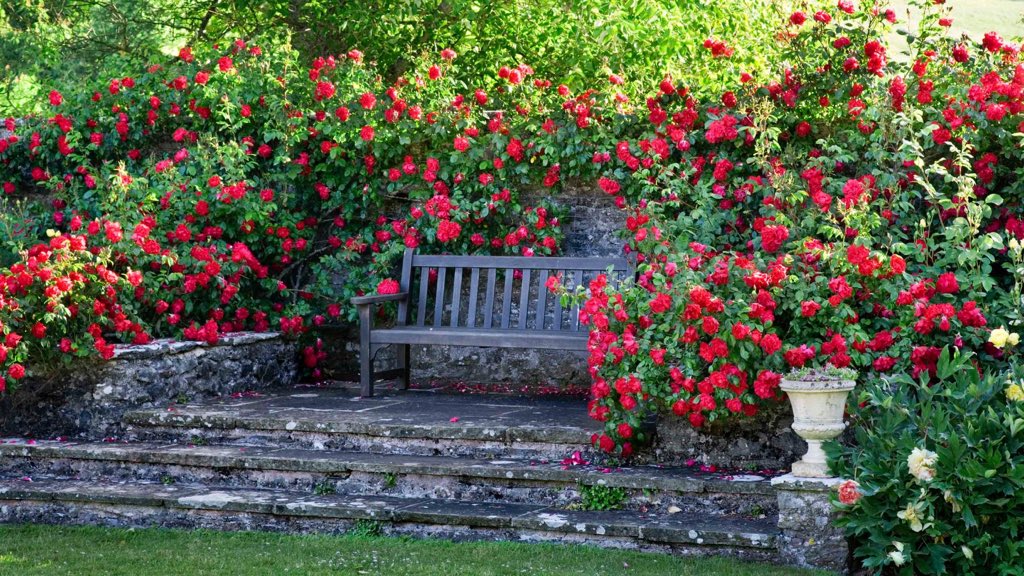 niceparis125's tweet photo. Good morning! 🙋‍♀️
#Rose Garden https://t.co/fY8tbiJsZt