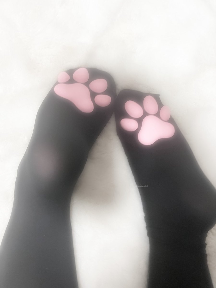 korruptdoll's tweet photo. kitty ⁰ᨵᩥ⁰ https://t.co/S7xn9YQw0d