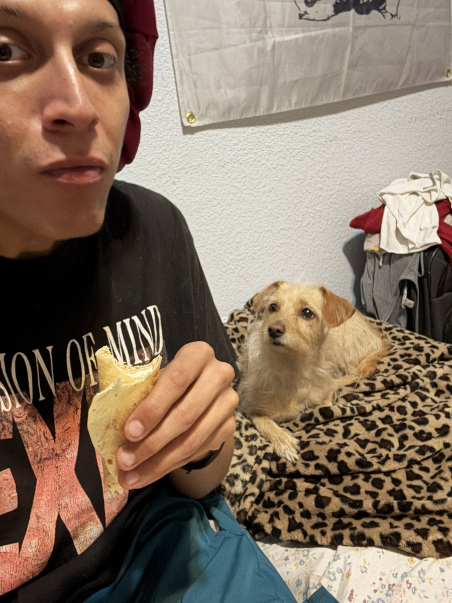 Desadeedee's tweet photo. Only girl I need iml rn. She just wants food lol. https://t.co/g4VxzxtfJ7