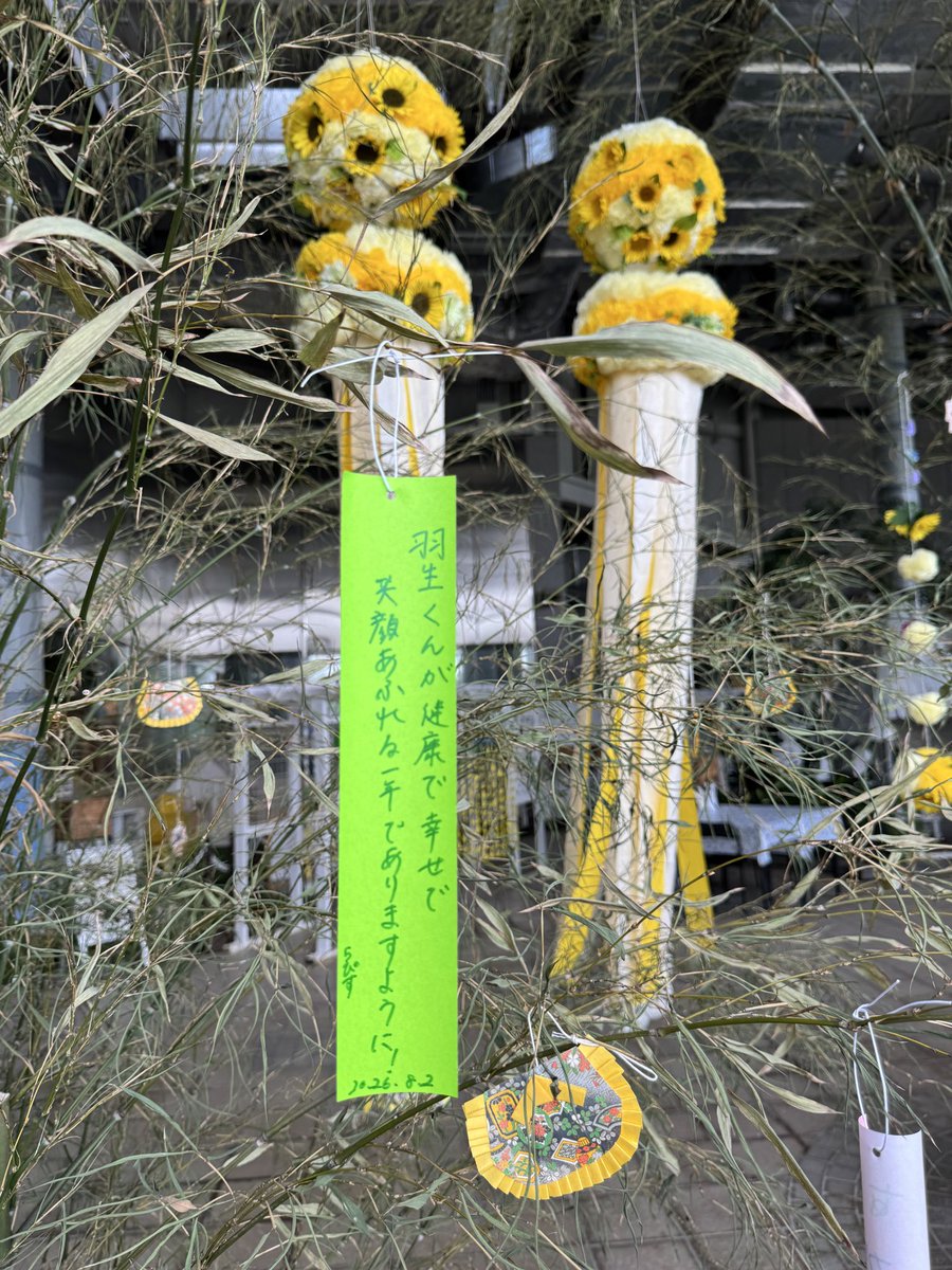 tomo_lapis's tweet photo. ｢七北田公園に遊びに来てくれたみなさんへ｣
さっそくサイン見に来た✨

うんうん！遊びに来たよー！
ありがとう💕
カフェのスタッフさんも今朝初めて見てびっくりとのこと。

#羽生結弦
#七北田公園
#アイスガーデン
#ゆづ桜🌸 https://t.co/JYA2Q7lqIB