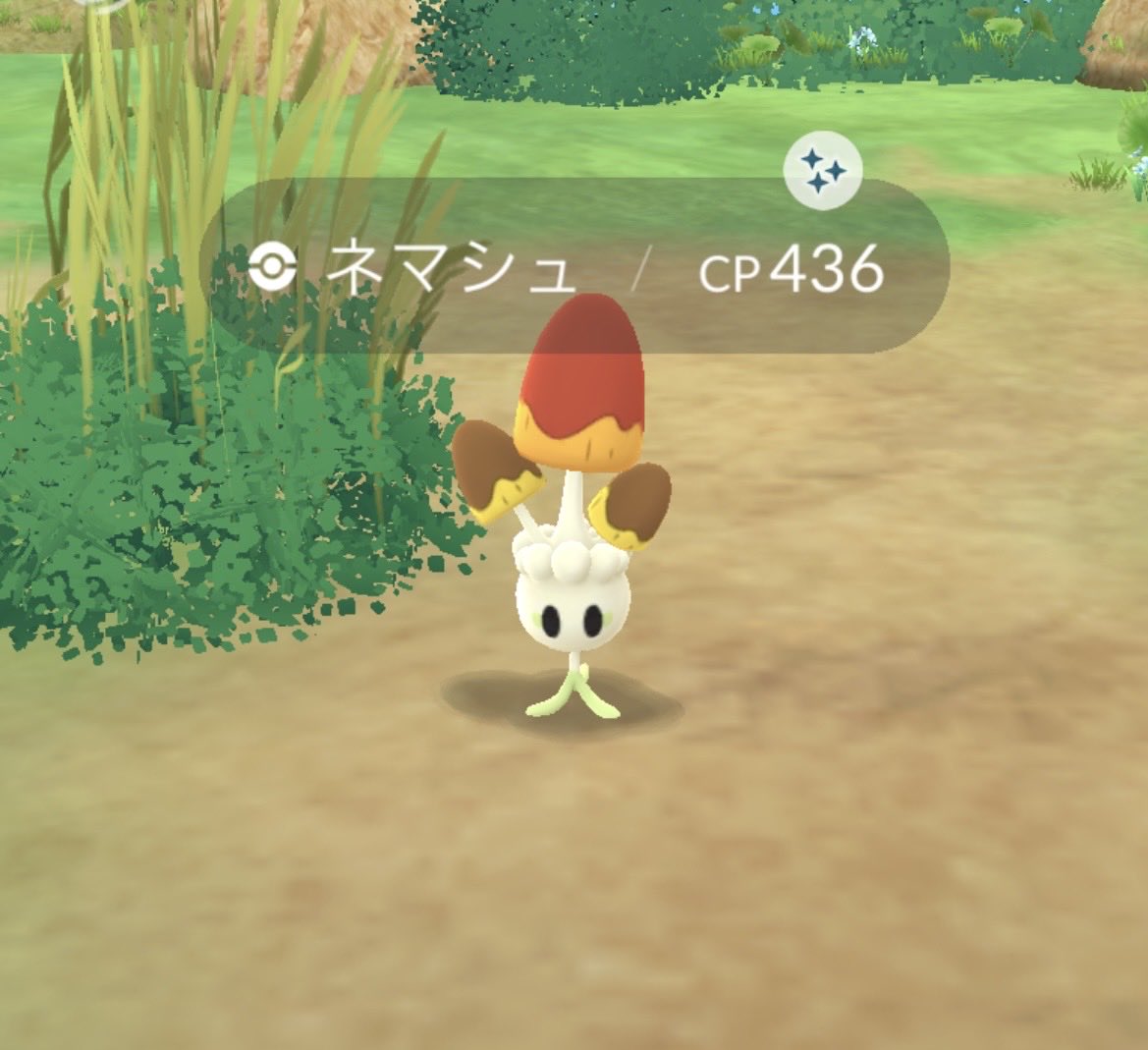 k21isk2's tweet photo. おやつの時間 https://t.co/vcTpDkkz5k