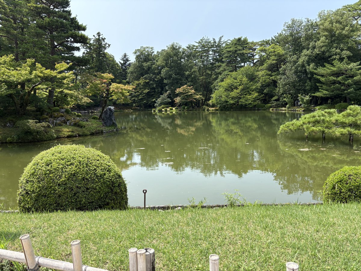 pad_NSB's tweet photo. 日本三名園の兼六園に来ました🌱 https://t.co/tAcphnCxm4