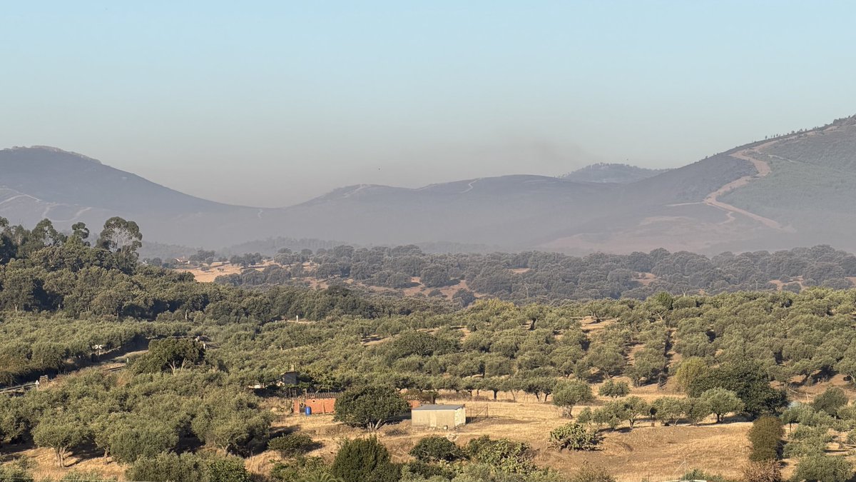 AnabelSC's tweet photo. #IFCasasDeMillán desde Mirabel,  8:30h https://t.co/srQGXr3Zw1