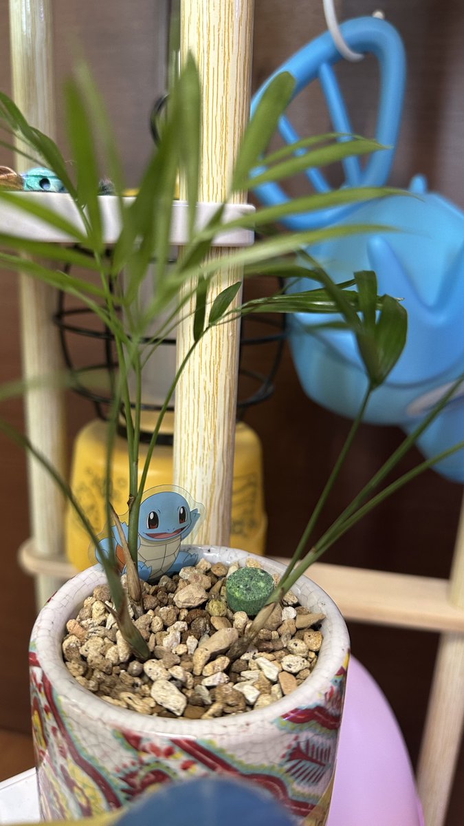 kenkenPokecame's tweet photo. サーティワンのモンスターボールサンデーに付いてくるピックで、鉢植えに刺せばよりポケモンの存在感が増しました✨✨ https://t.co/W2ysRhBJup