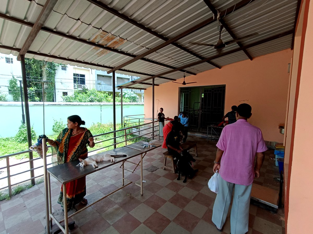gajendra0116's tweet photo. There is only one doctor attending patients at the Cuttack Veterinary Hospital, Buxi Bazar. As a result, pet owners are forced to wait for hours with sick and injured animals. 
  #Cuttack #Odisha #VeterinaryCare #AnimalWelfare #CMO_Odisha https://t.co/ivW6LtGTM6