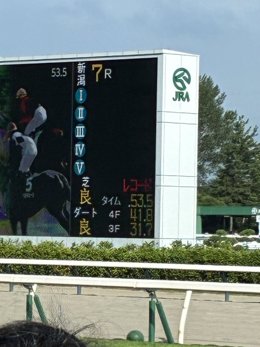 wp3qhjwap's tweet photo. #アイビスサマーダッシュ

カルストンライトオ
「？？？？？？？？？？？？？？？？
私が来年蘇ってピューロマジックさんと
タイマンさせてください」

ついに破れたあのタイムが https://t.co/hEoV29XT2D
