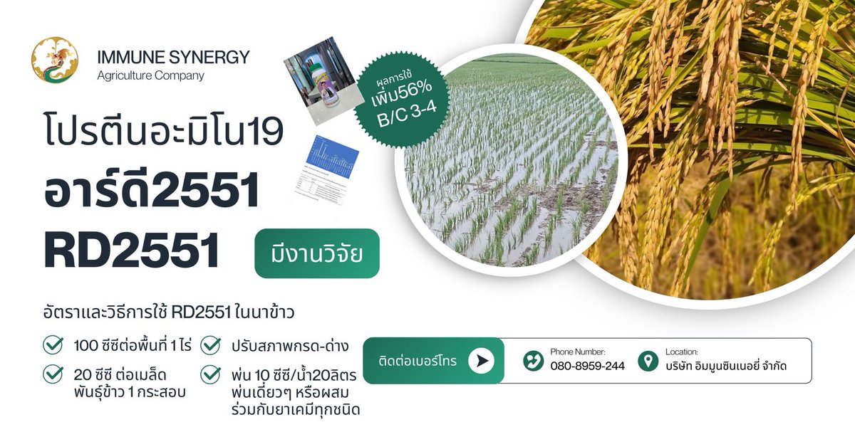 GSukkasem's tweet photo. https://t.co/gmFSWq6J9g