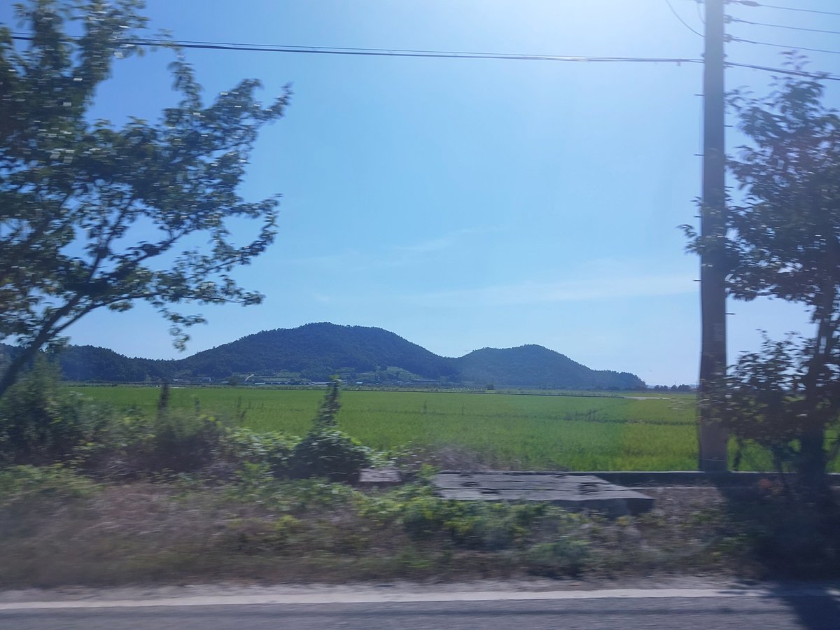 lazy_119's tweet photo. 샤갈!!!!! 아니.. 해남 왔는데 논밭만 있음 ㅠㅠ
제임스가 여기서 탈출할듯 https://t.co/ovETqwqn8C