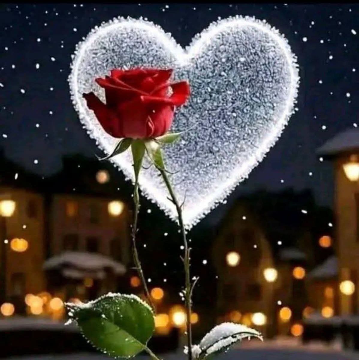 SQG___'s tweet photo. صـبـــــــــــــــــاآٍْآٍٍْْآٍٍٍْْْآٍٍْْآٍْح اآٍْآٍٍْْآٍٍٍْْْآٍٍْْآٍْلورد https://t.co/uLknns8l9J