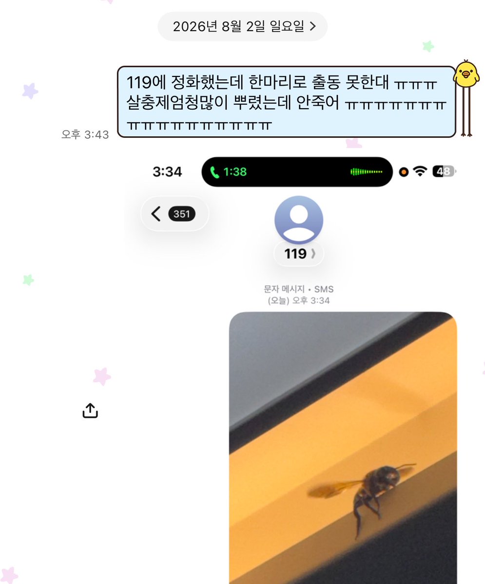 일상개? tweet media