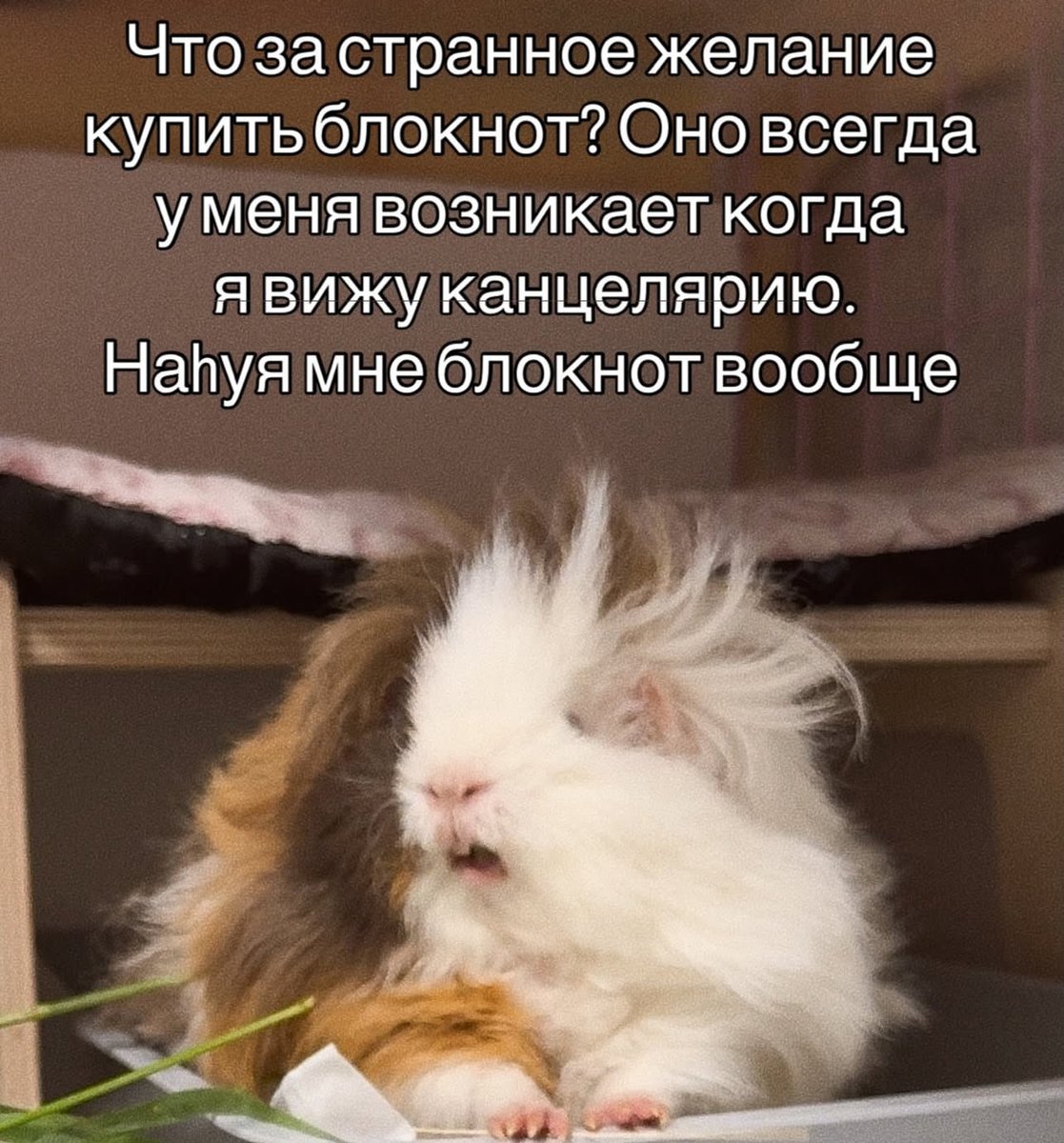 treschenko24's tweet photo. ДА! ПОЧЕМУ ТАК https://t.co/b4rWA6hgvW