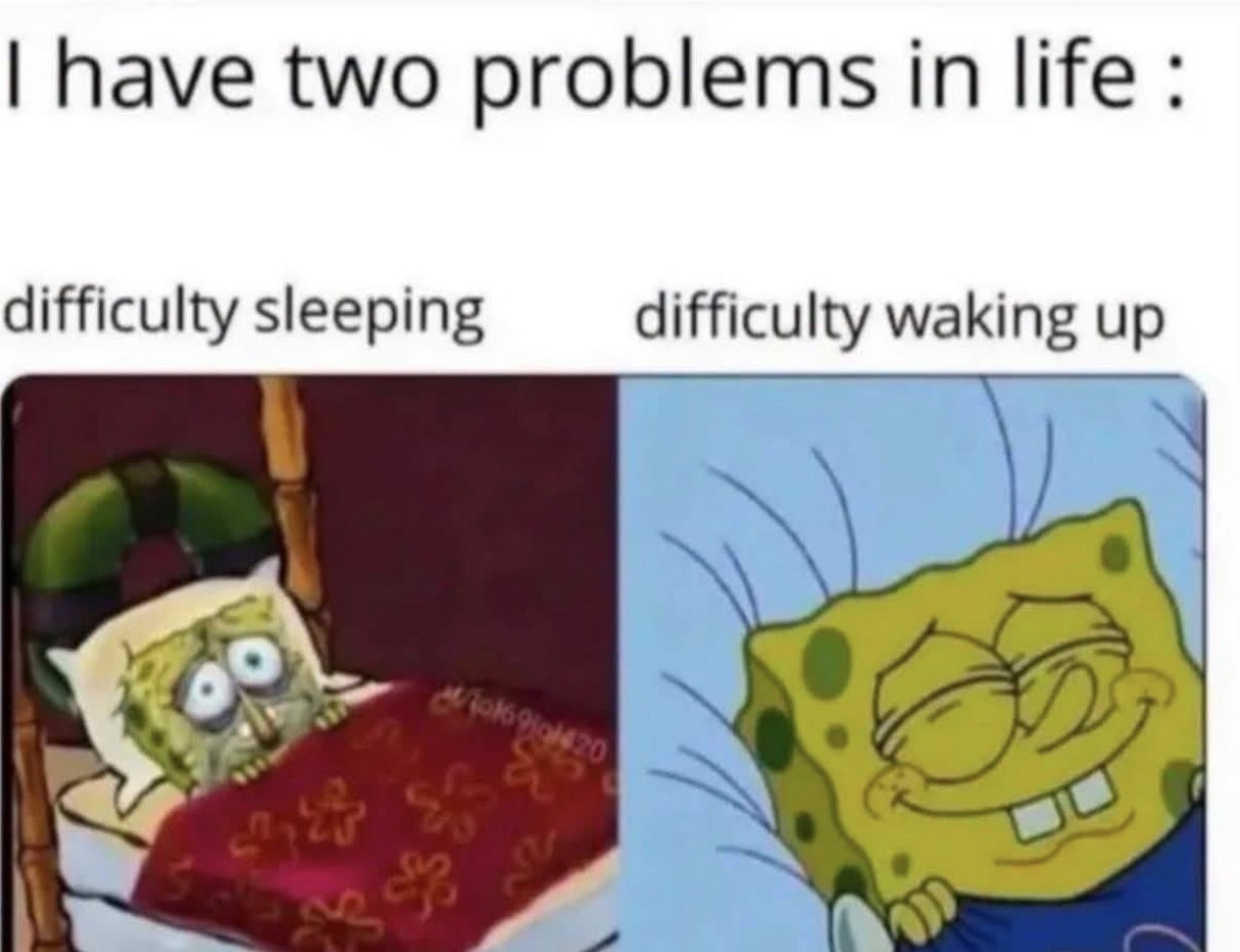 RespectfulMemes's tweet photo. https://t.co/55vqoatvPL