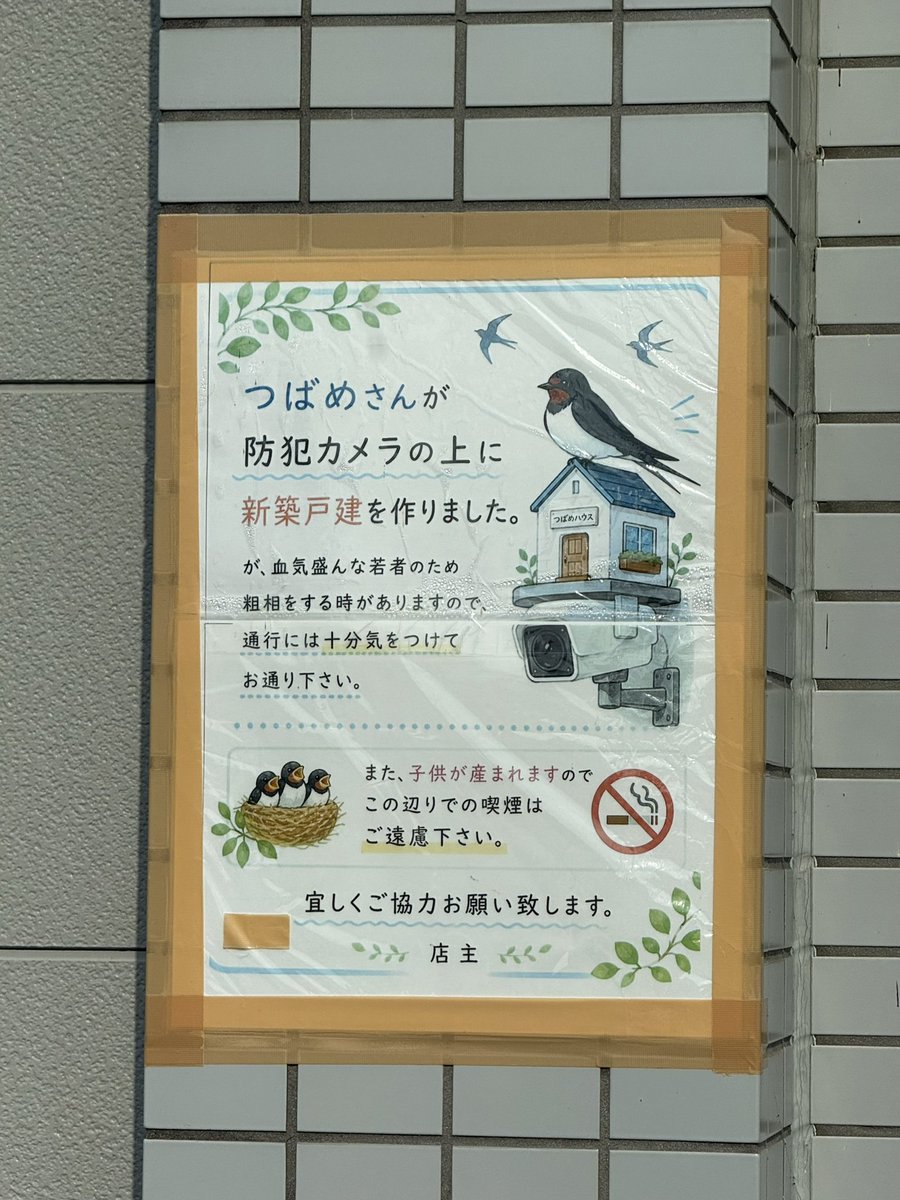 r_02_mfs's tweet photo. 優しい世界 https://t.co/HQUSf1KBcI