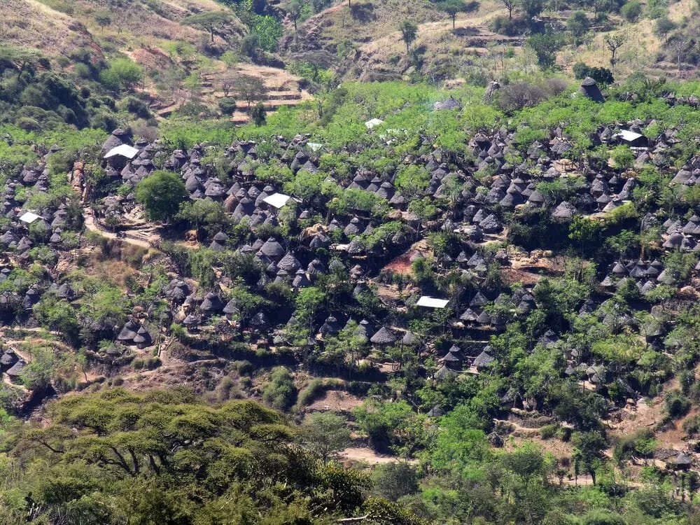 ETConsulateDXB's tweet photo. Discover Konso: Ethiopia’s Living Engineering Marvel

Located in southern Ethiopia lies a UNESCO World Heritage treasure, generations of Konso people built drystone terraces across the mountains, transforming harsh land into lush farmland.
Step into a Konso village
#VisitEthiopia https://t.co/jpZnQM3DCG