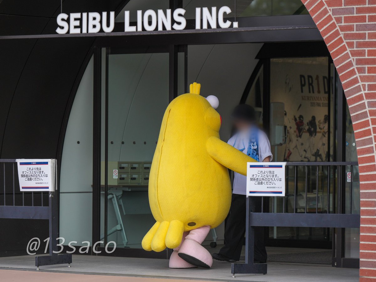 13saco's tweet photo. 球団事務所で涼んでるヒマがあったらドコモの通信速度どうにかしろや（　＾ω＾）
#ポインコ
#seibulions https://t.co/5vxZ0tAfY1