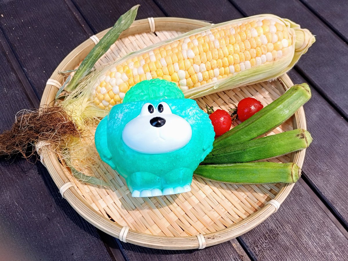 lucy_10107's tweet photo. 夏野菜withノウマル☀
@DEVILDOMTOY https://t.co/bmmFYMNoNp