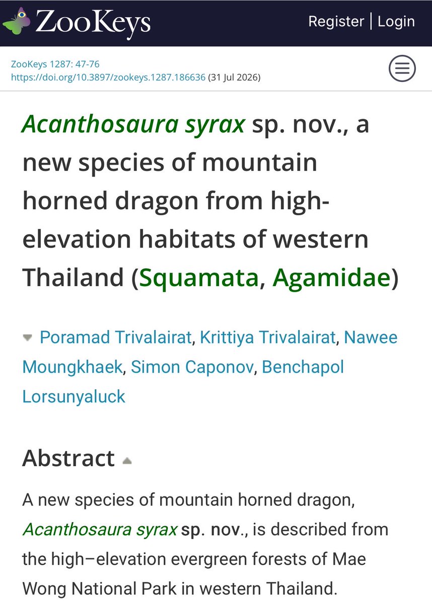 brainrotlevelxx's tweet photo. อมก มีการค้นพบกิ้งก่า species ใหม่ในไทย แล้วเขาตั้งชื่อน้องว่า Syrax เพราะได้แรงบันดาลใจมาจากมังกรของควีน Rhaenyra 😭 น้องตัวออกเหลืองๆแล้วก็ตัวเล็กกว่าเพื่อนในสกุลเดียวกัน🤏🏻 https://t.co/10MDJpnMVF
