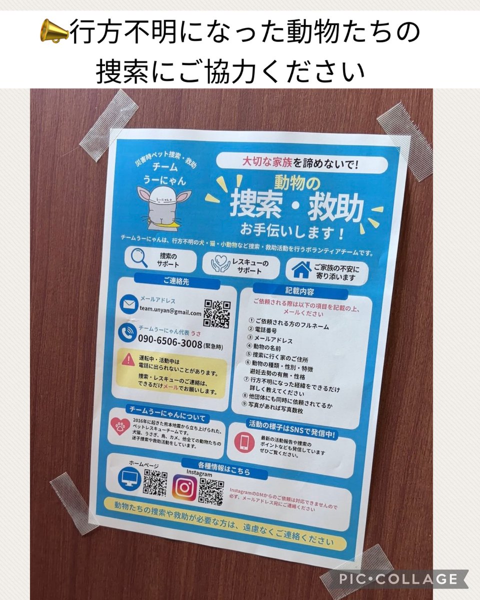 ____Usa's tweet photo. 【📣行方不明になった動物たちの捜索にご協力ください】

行方不明になった動物たちが、一日でも早く家族のもとへ帰れるよう、捜索チラシを配布・掲示しています。

写真の場所は『ENEOS EneJet 釈迦堂SS／南国殖産（株）』様です。(熊本市)
ご協力いただきありがとうございました。

そして、皆さまにもお願いがあります。

掲載しているチラシは、どなたでも自由にダウンロードしていただけます。

ご自宅のプリンターやコンビニなどで印刷していただき、

⚫︎お店や会社の掲示板
⚫︎動物病院・トリミングサロン
⚫︎地域の掲示板
⚫︎職場や学校
⚫︎ご近所へのお声がけ

など、貼っていただいたり、置いていただいたり、周りの方へお配りいただけると大変助かります。

一人でも多くの方の目に留まることが、目撃情報につながり、大切な命を救うことにつながります。

どうか拡散・掲示・配布のご協力をよろしくお願いいたします。

#熊本地震
#ペット捜索
#迷子猫
#迷子犬
#行方不明
