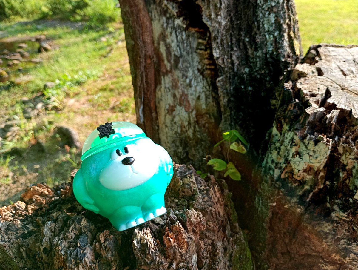 lucy_10107's tweet photo. 暑すぎて草
いつもより虚無顔なノウマル https://t.co/jrLubwzXga