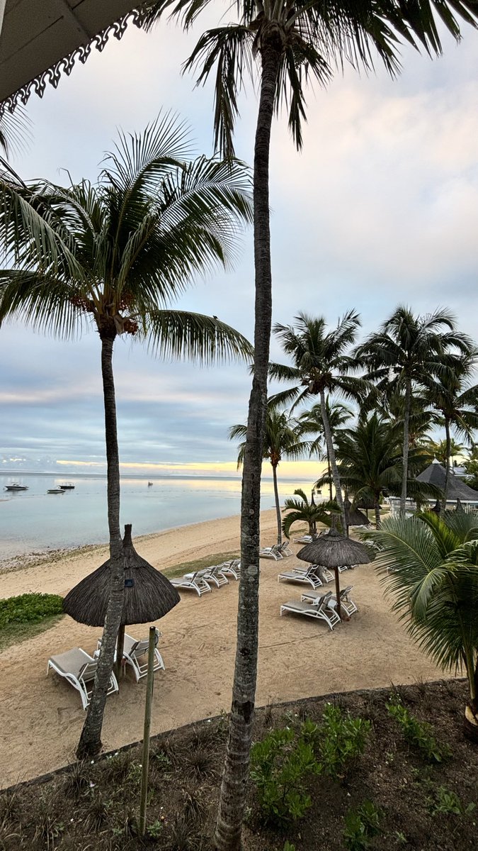 W_L97's tweet photo. Mauritius 🇲🇺 https://t.co/HuBJb5iDds