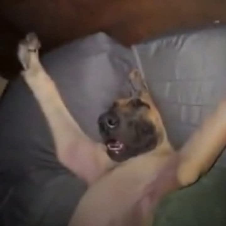 imploreis's tweet photo. dormir comigo é saber que de madrugada estou assim: https://t.co/m6bhpOeiGo