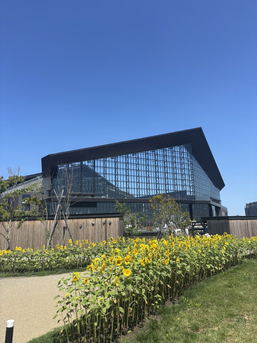 HUyakyukansen's tweet photo. 本日はエスコン入場券で楽しもう会を行いました！
#有薗直輝 選手のタイムリーから  #レイエス 選手のホームランと得点を挙げ、#有原航平 投手のマダックス未遂となる超好投もあり、ファイターズの勝利でした！
会長は元楽天の小野選手と山崎選手が見れて満足です
#lovefighters #chibalotte https://t.co/bEfxED9KSX