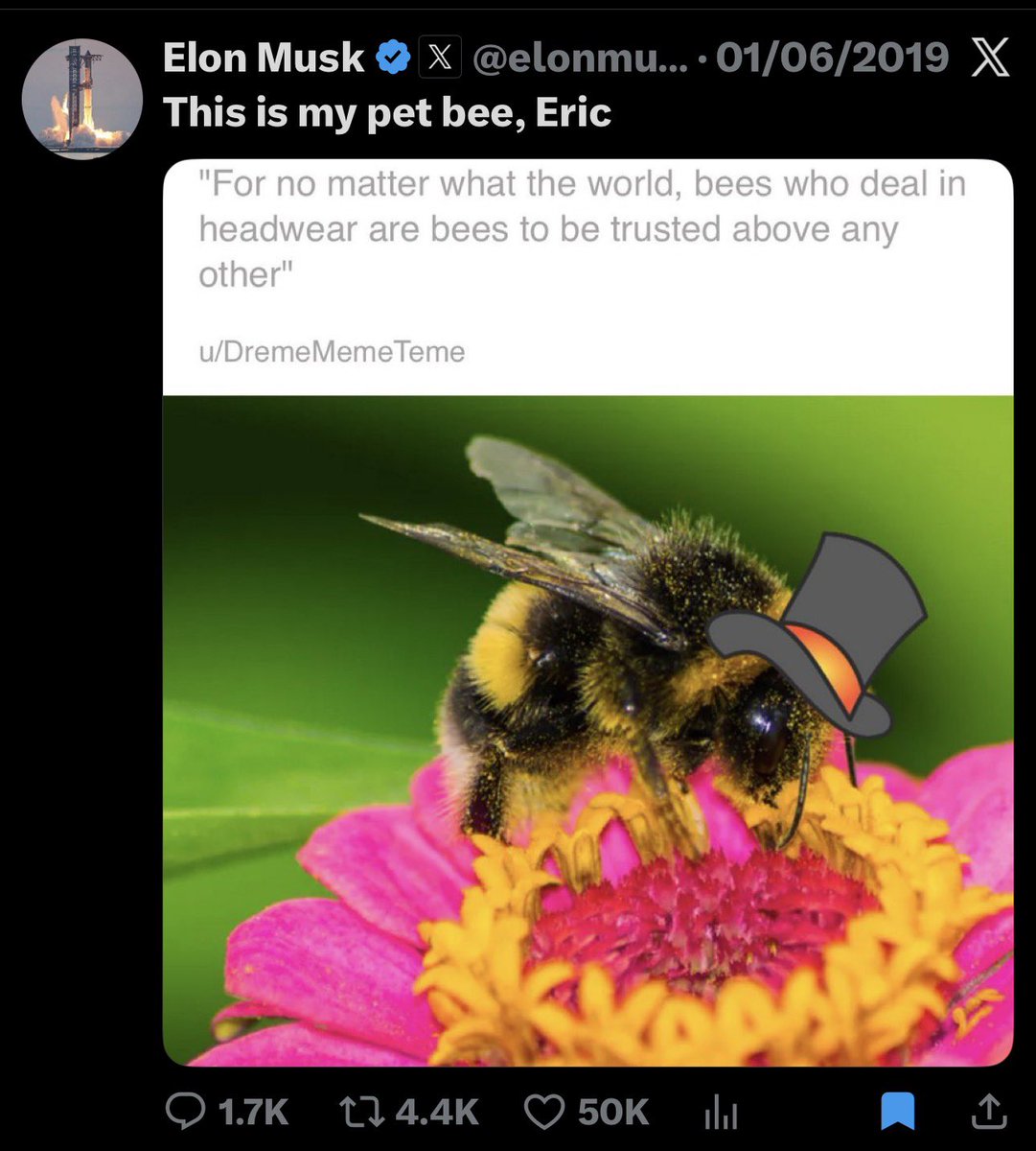 Ericbeebnb tweet picture