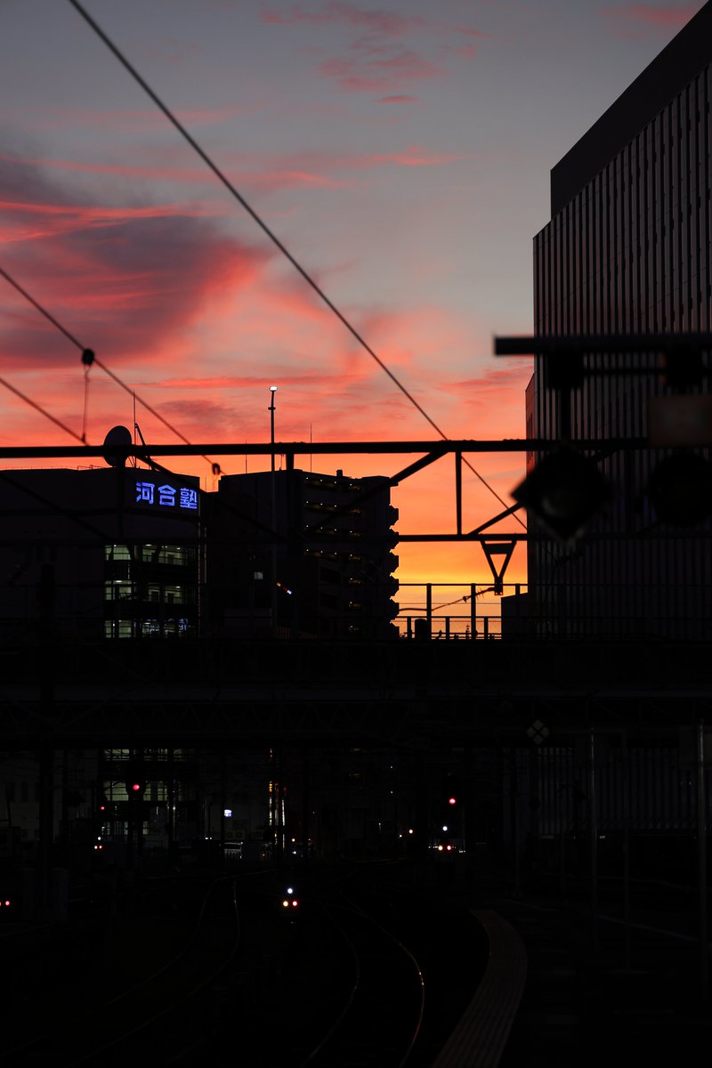 2010RS005's tweet photo. 昨夜のフォトウォーク

EOS R8
RF24-105 F4L https://t.co/TqzX4VfPNS
