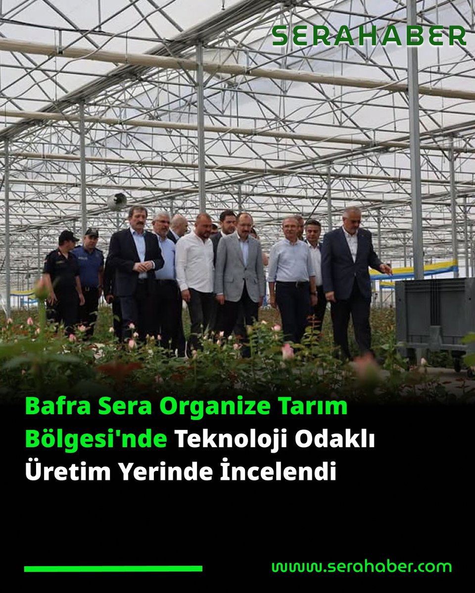 Sera_Haber's tweet photo. Bafra Sera Organize Tarım Bölgesi'nde Teknoloji Odaklı Üretim Yerinde İncelendi
Samsun protokolü, fide, kesme gül ve domates üretimi yapılan yüksek teknoloji seralarında incelemelerde bulundu.
https://t.co/ZE6L04xUi3
 #seratarım #TopraksızTarım #ModernSera #Seracılık  #Tarım https://t.co/myOISGrfvm