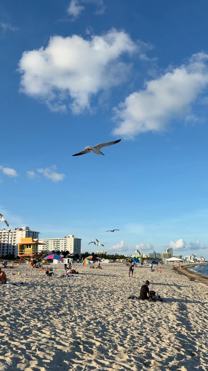 Georgia998044's tweet photo. Miami Beach🏖️ https://t.co/Zrp1xYuCl2