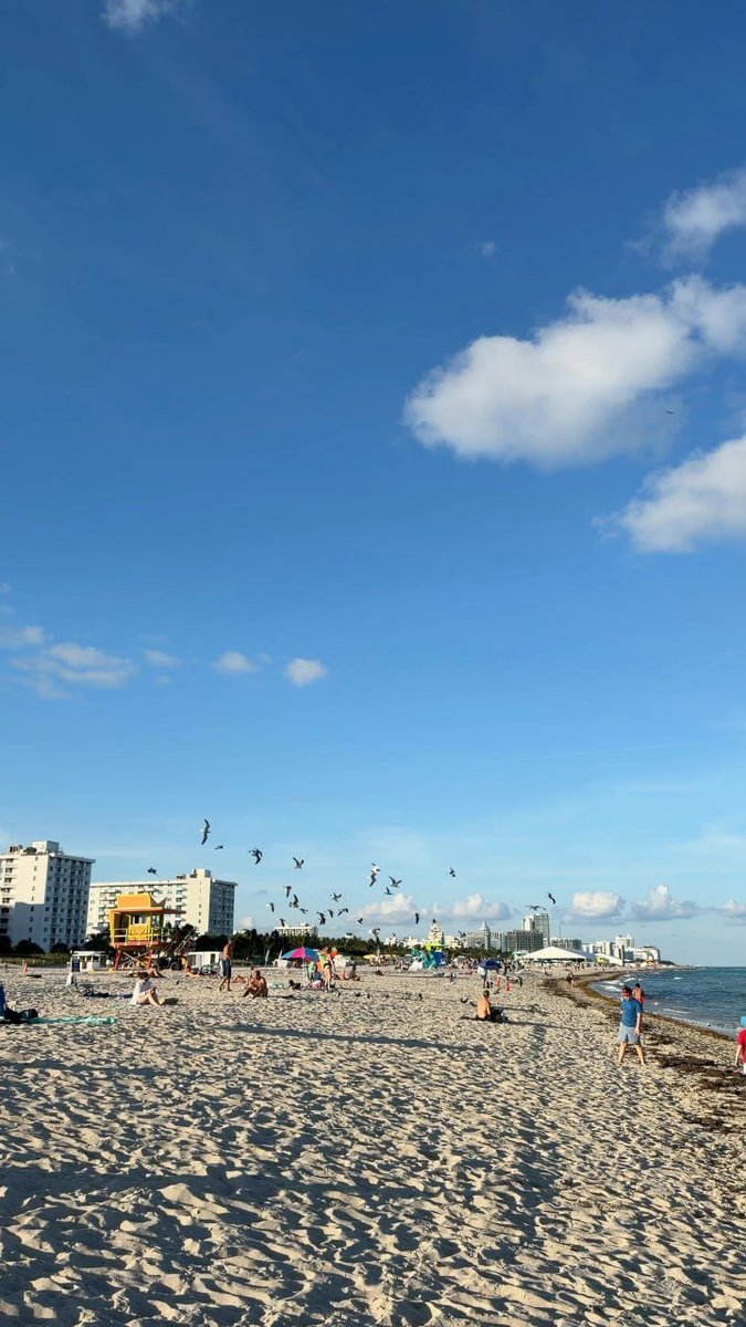 Georgia998044's tweet photo. Miami Beach🏖️ https://t.co/Zrp1xYuCl2