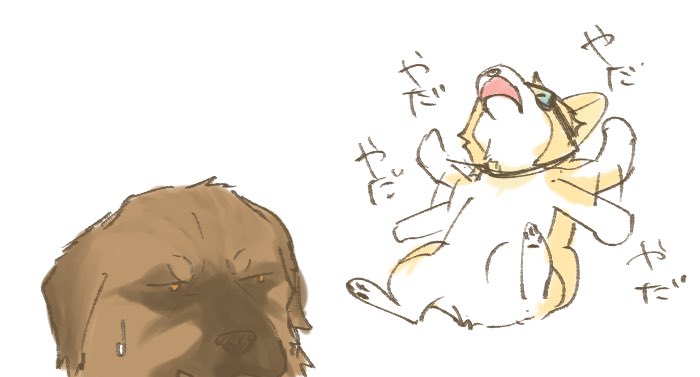 823souda_M's tweet photo. 久々にウチの子でも☺️
凪(コーギー)とネイビー(レオンベルガー) https://t.co/RPHGXnpua7