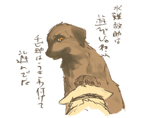 823souda_M's tweet photo. 久々にウチの子でも☺️
凪(コーギー)とネイビー(レオンベルガー) https://t.co/RPHGXnpua7