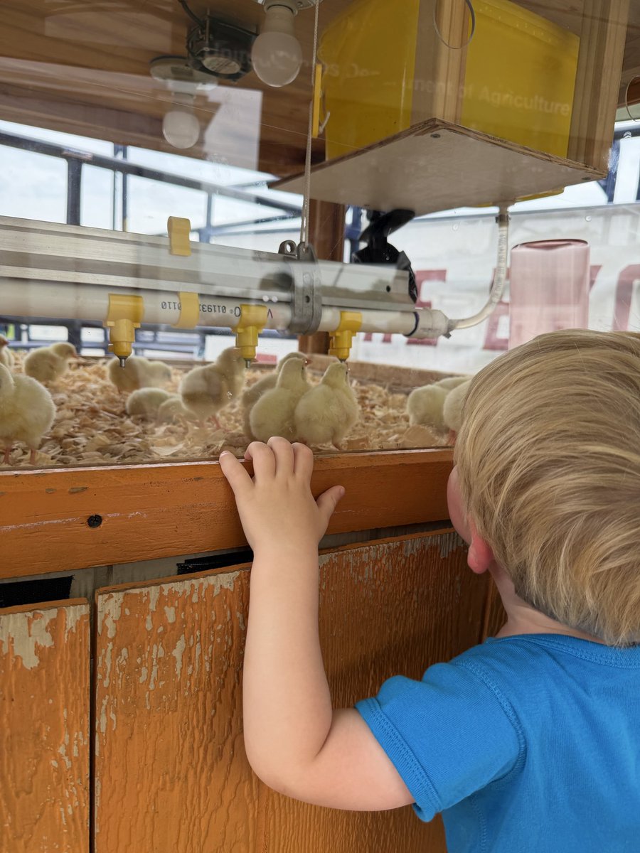 Marioqpai's tweet photo. Fun day at the Great American State Fair!🎡

How cool is it that we are alive during this historic time and we get to experience America’s 250th birthday!? 💙❤️

Looking forward to making more lifelong memories over the course of this very special week!! https://t.co/k1WsH5850e