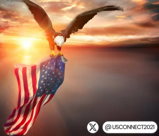 USConnect tweet media