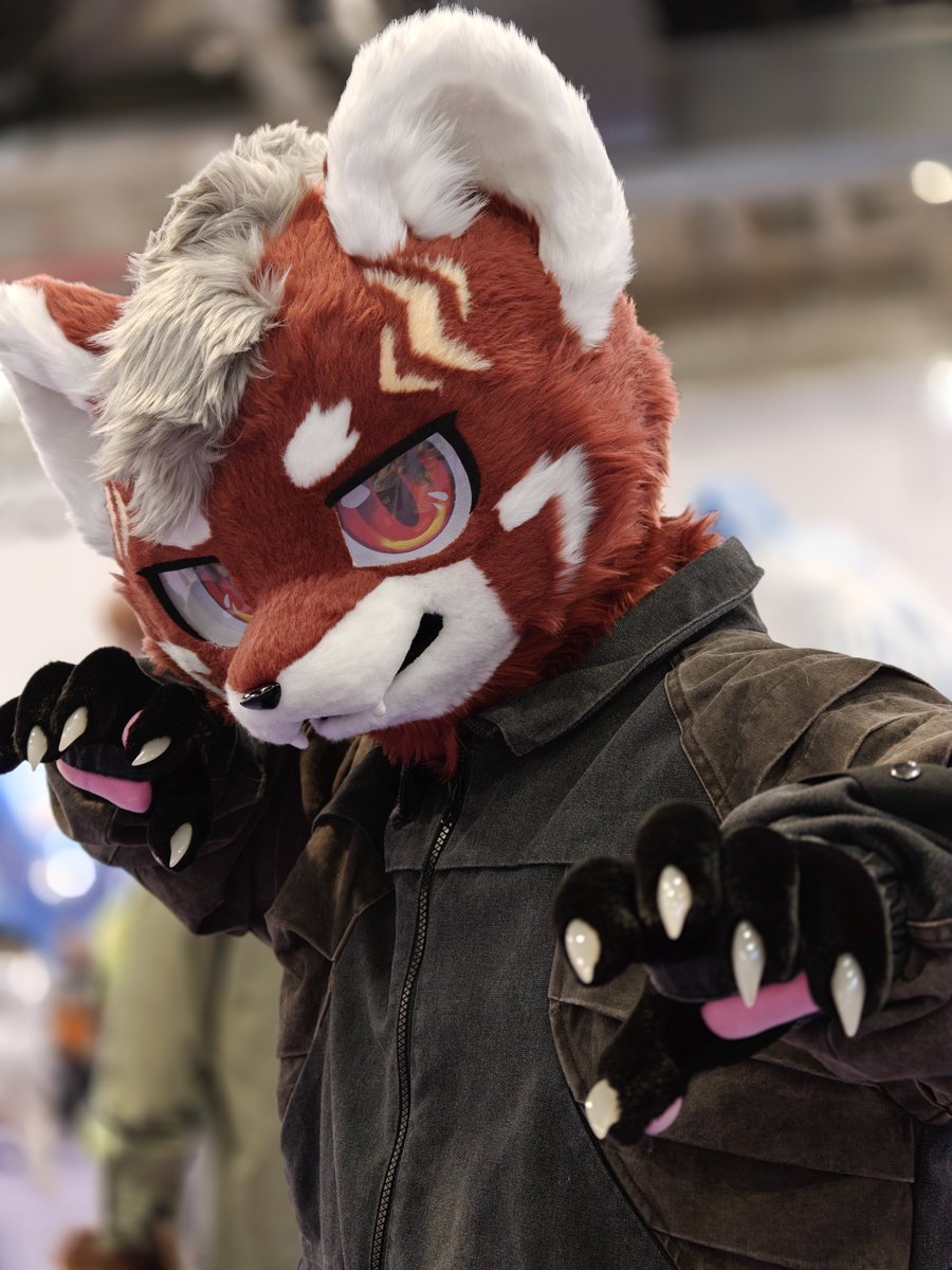 hinekota's tweet photo. SFF楽しい♥️

#SuperFurryFusion https://t.co/9QwOIw1TOH