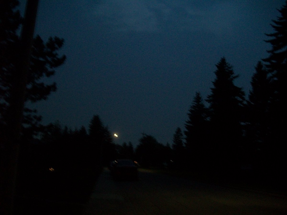 user13689643's tweet photo. i love having a digital camera. if u go on walks outside a lot get a digital camera!!
(this is the only picture i have where im not doxxing myself) https://t.co/ghnqykrzbn
